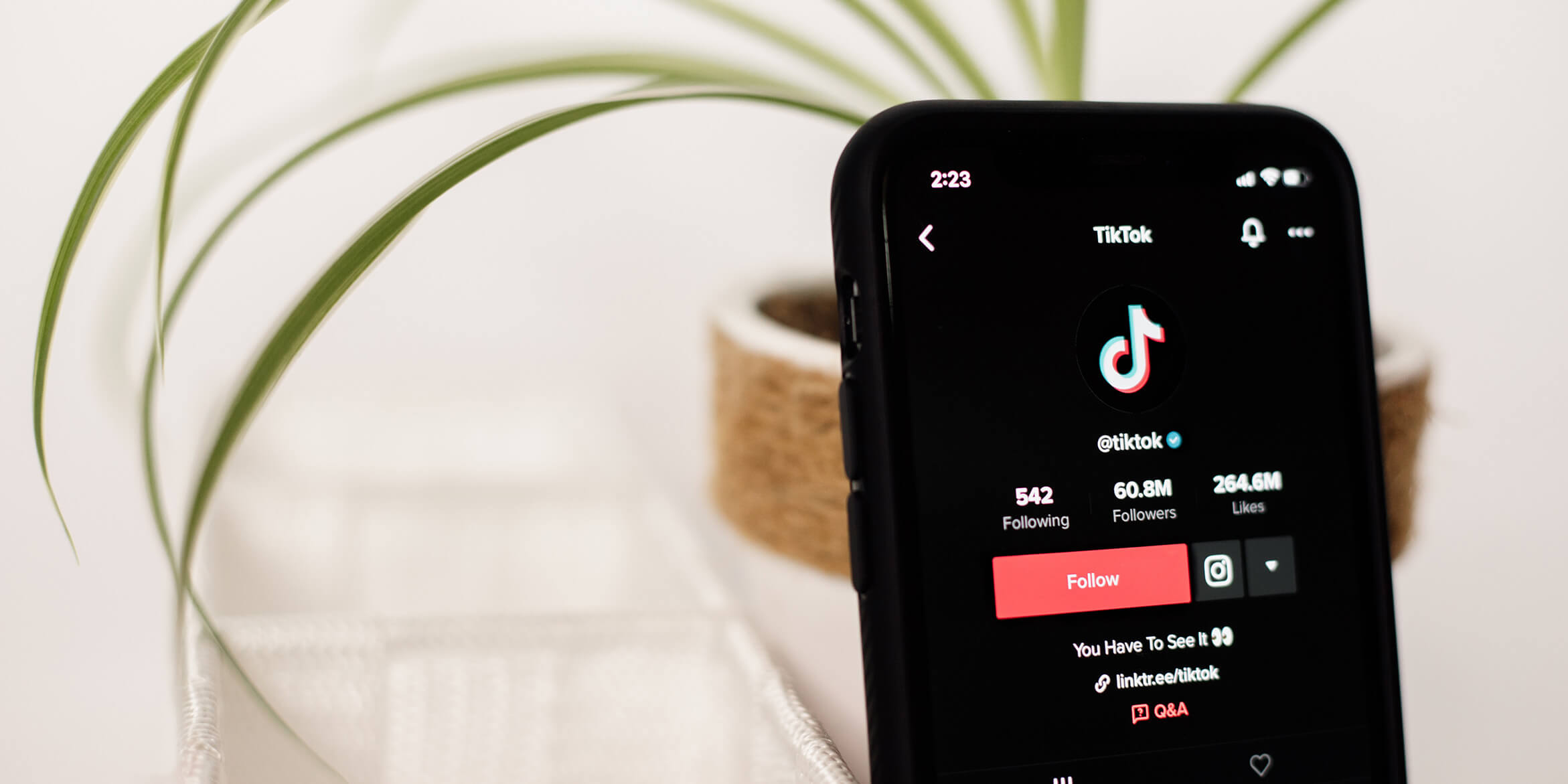 A US TikTok ban? What should advertisers do?