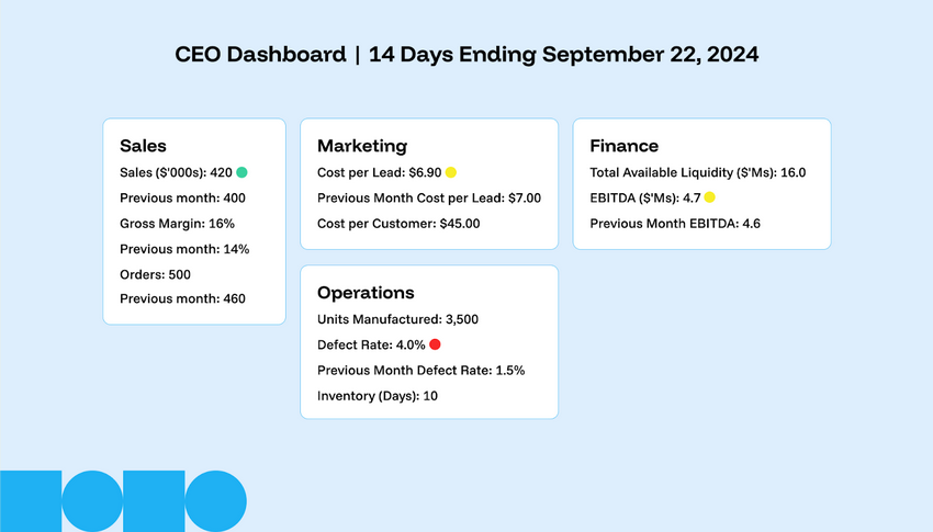 Data presentation for a CEO