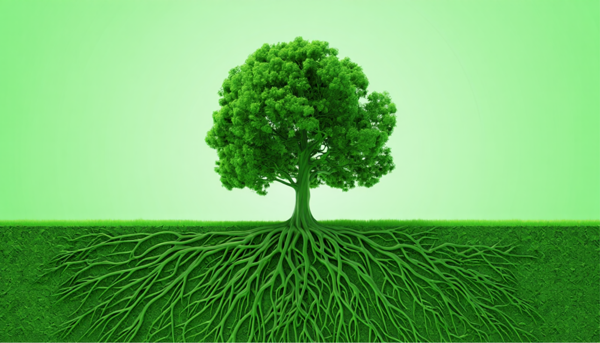 Customer retention provides a stable base for business growth