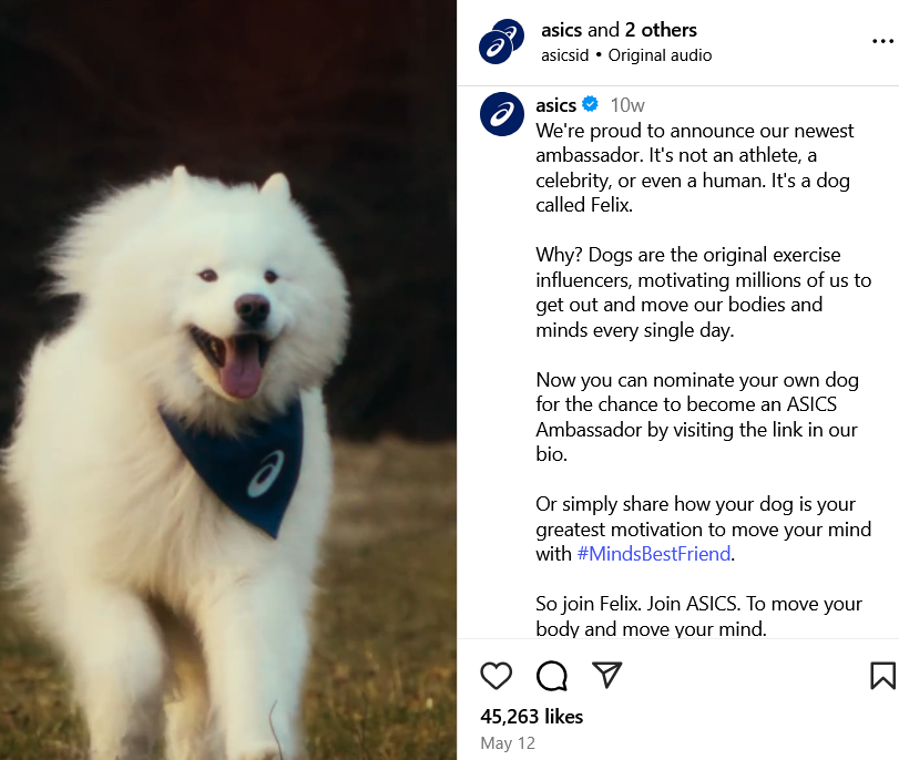 Asics uses authenticity in marketing by choosing a dog to represent the brand